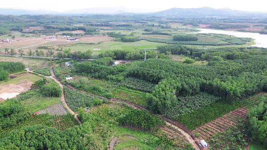 航拍农田风景