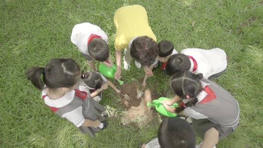 植树节老师带学生种树小树茁壮成长祖国未来