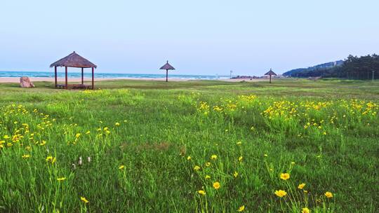 海边沙滩青岛银沙滩