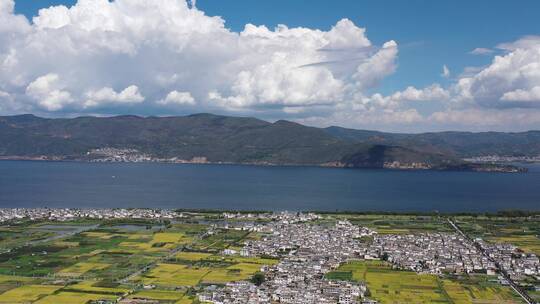 秋天秋季梯田稻田麦田油菜花花海风景