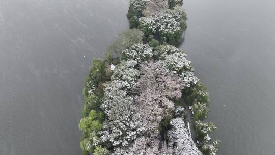 航拍西湖大雪