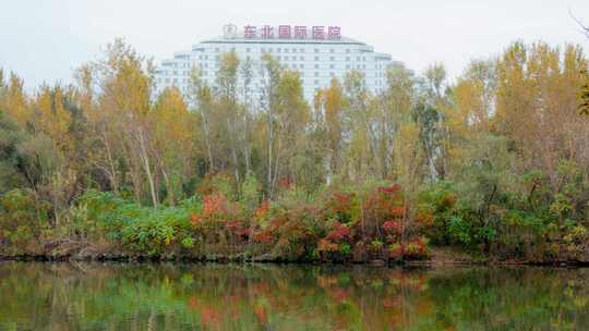 水岸水边草木城市建筑医院秋季薄雾