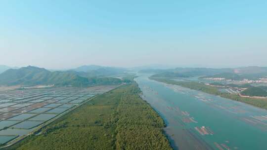 广东江门_镇海湾红树林湿地公园航拍003