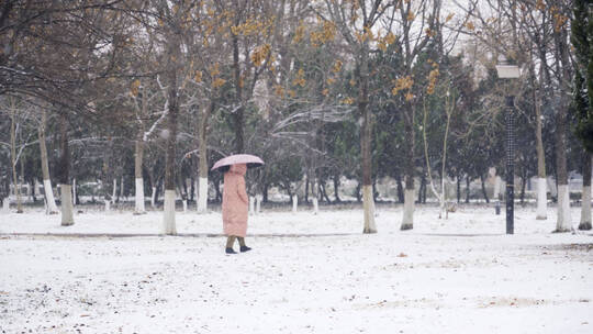 4K北方冬天下雪在公园漫步的人实拍视频