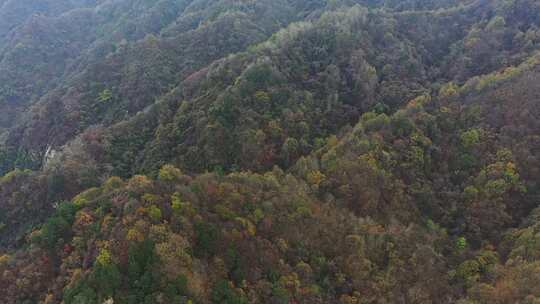 航拍秦岭秋景