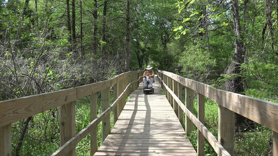 老人骑着脚踏车景观森林间的桥梁