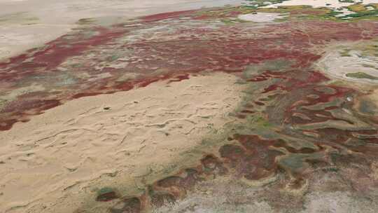 航拍额济纳胡杨树合集