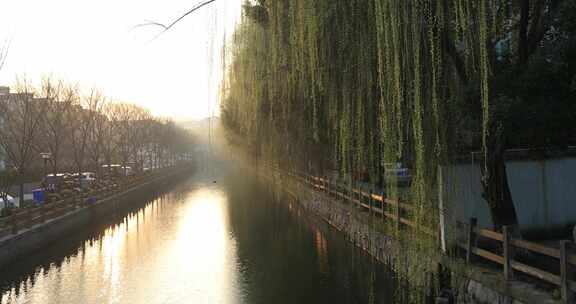 清晨初春城市河边薄雾金色的阳光