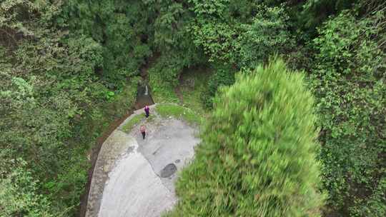 平坝区国营大坡林场航拍