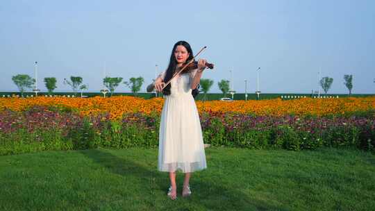 拉小提琴的美女视频素材模板下载