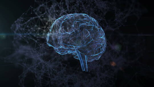 医学 大脑 脑科学 三维 脑ct1 模型