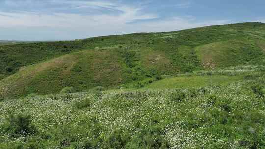 新疆塔城裕民县塔斯特草原风景区航拍风光