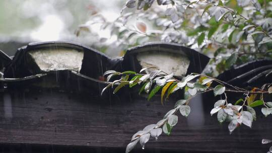 下雨天的瓦房雨滴