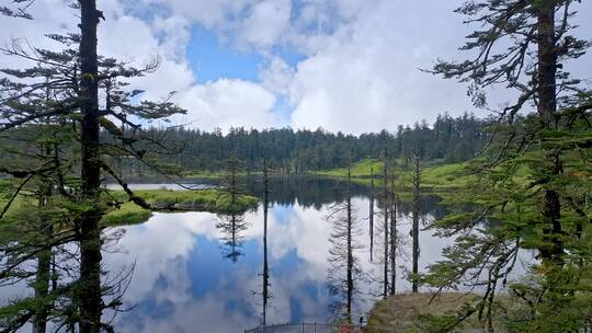 高清航拍四川雅女湖瓦屋山自然风光唯美森林