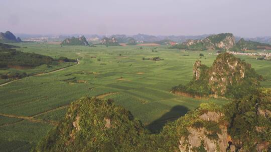 广西大面积甘蔗地大景