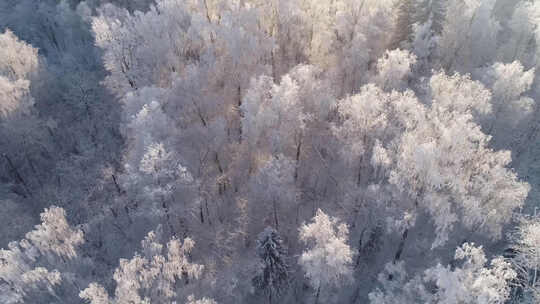 航拍美丽冬季冰雪森林