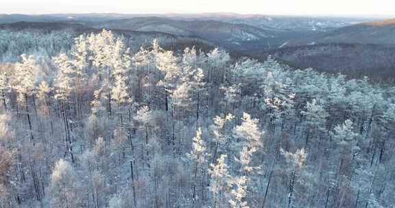 航拍大兴安岭冬季风光、冰雪、雾凇