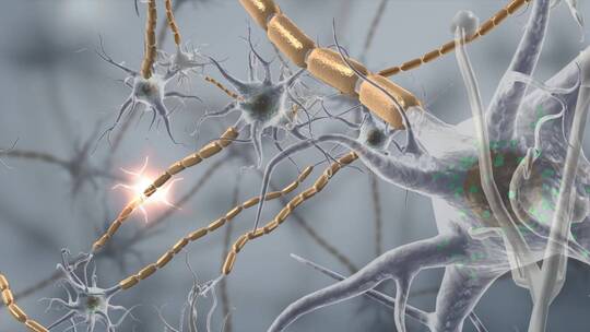 生物细胞神经元神经组织神经系统三维动画