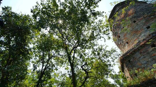 广西桂林象鼻山的普贤塔