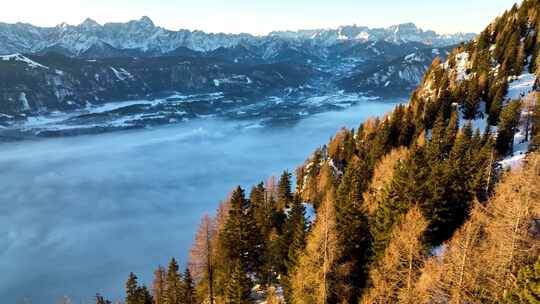 航拍雪景森林雪山树林高山阿尔卑斯山脉