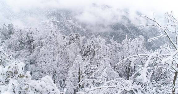 冬季山林雪景航拍