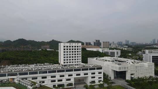 西丽大学城 南方科技大学