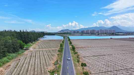 航拍一辆汽车行驶在乡村农田种植园