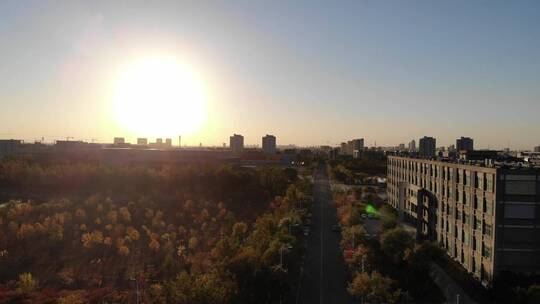 天津师范大学秋天航拍小树林