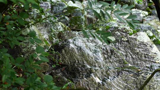 森林流水大自然小溪水瀑布山涧水源泉水山水