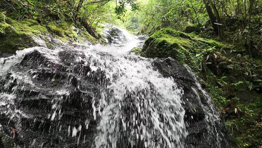 森林山涧小溪瀑布河流绿色苔藓