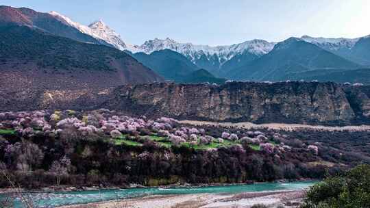 西藏林芝波密桃花沟春天延时摄影