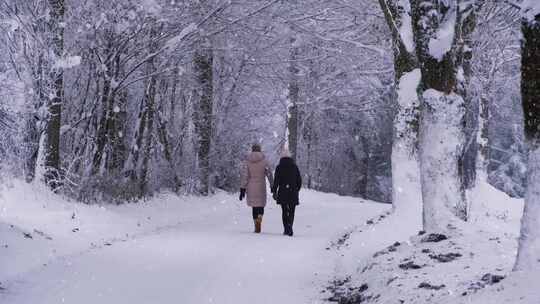 下雪 林间 行人视频素材模板下载