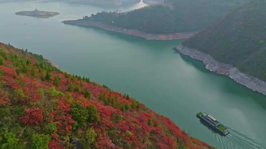 三峡红叶