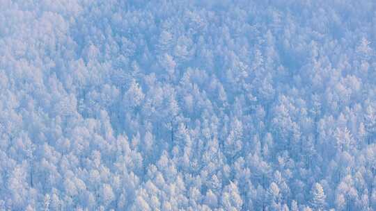 航拍大兴安岭林海雪原雾凇250101-8