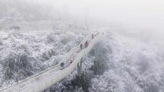 成都龙泉山森林公园下雪