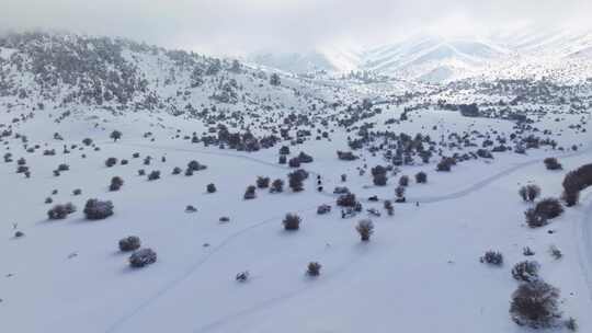 雪地摩托，雪，雪，骑