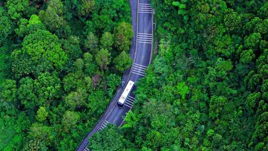 大自然森林旅游客车