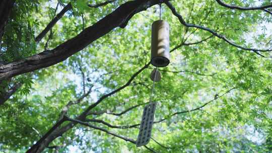 挂在树上的风铃视频素材模板下载