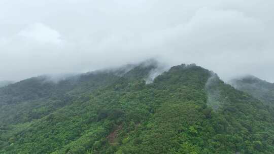 泰国普吉岛雨后的山和雾