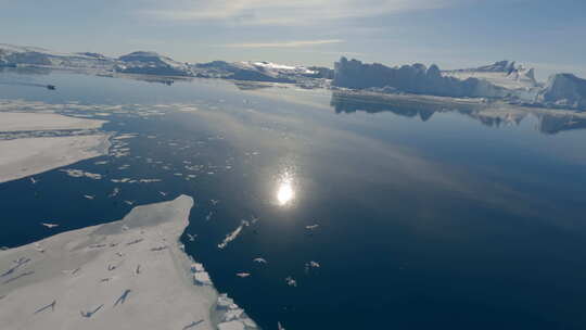 4K北极冰川冰山航拍