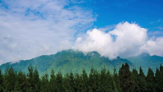 大山野外森林蓝天白云延时