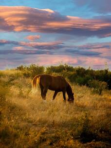 羚羊峡谷 澎湃 摇滚 史诗片 羚羊峡谷 澎湃 摇滚 史诗片