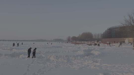 沈阳丁香湖雪景银装素裹的雪后树林景色