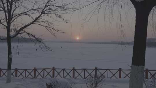 沈阳丁香湖雪景银装素裹的雪后树林景色