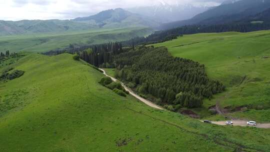 新疆伊犁恰西大气壮观雪山丛林草原景色