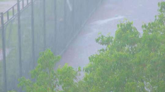 城市下暴雨倾盆大雨下雨天雨水雨滴植物树叶