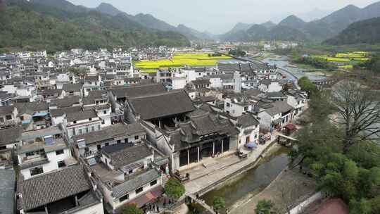 油菜花开 宣城市绩溪县龙川风光航拍素材