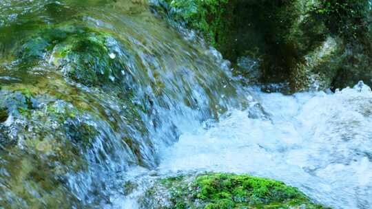 溪水青苔水流