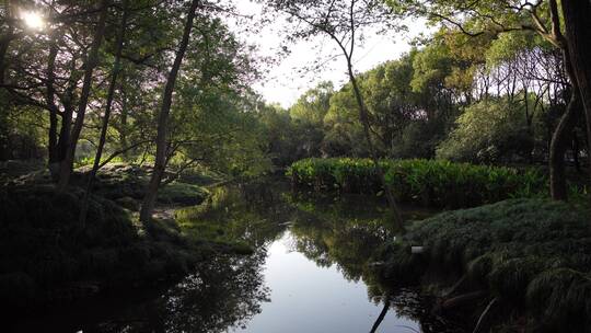 杭州西湖景区杭州花圃