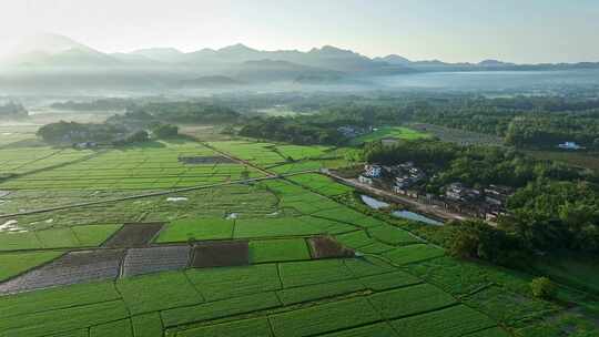 中国侨乡广东台山乡村稻田山脉山峰日出航拍